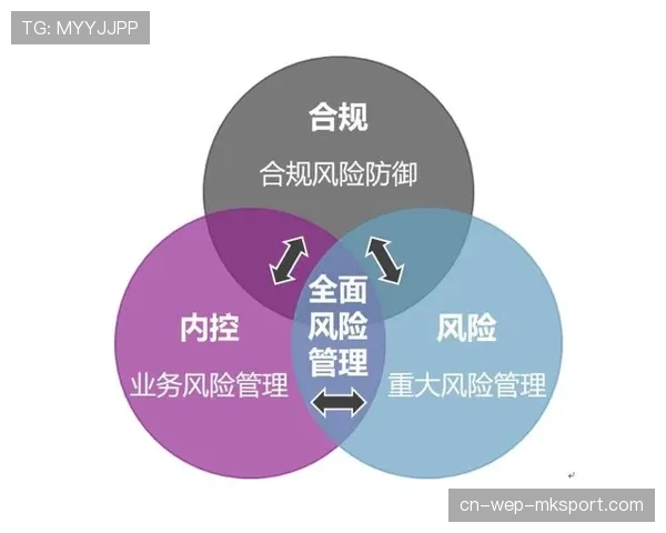 国际篮球联赛俱乐部财务合规与风控最佳实践分享，篮球俱乐部的风险与对策
